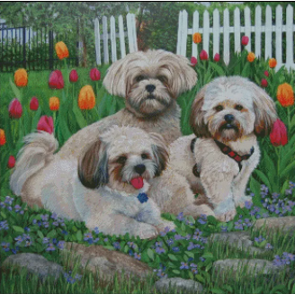 (image for) Tip Toe Thru the Tulips